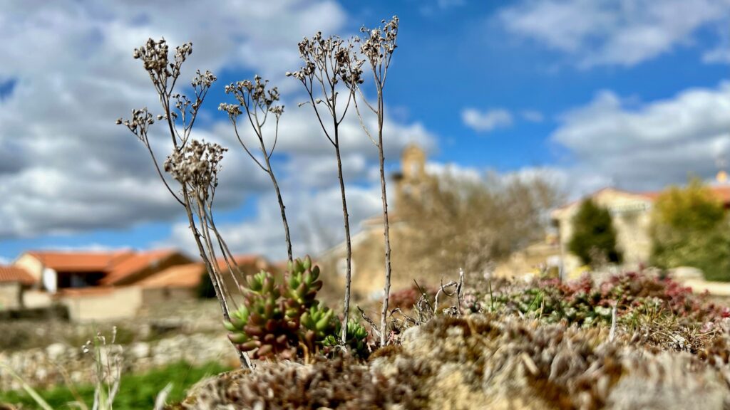 Tag 26: die Droge „Leben“