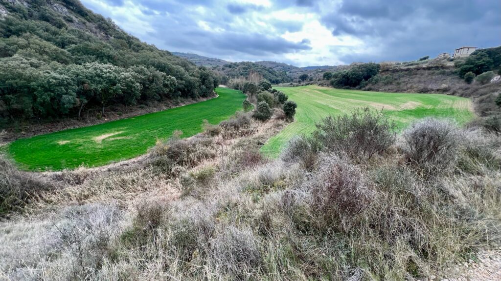 #Tag 12: das mentale Ding und die Apokalypse