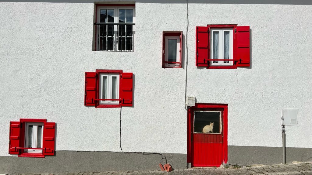 #Tag 15: Zwangspause mit Karma