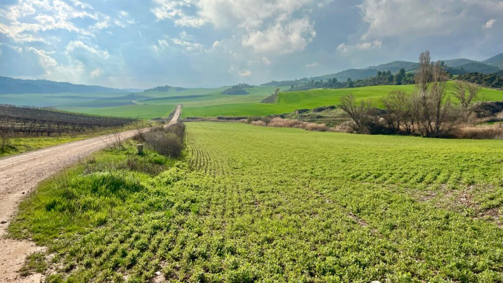 #Tag 11: er ist dann mal weg