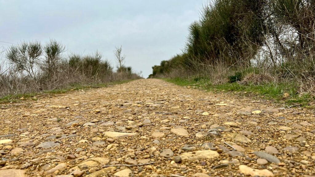 Tag 20: Hoffnung verleiht Flügel