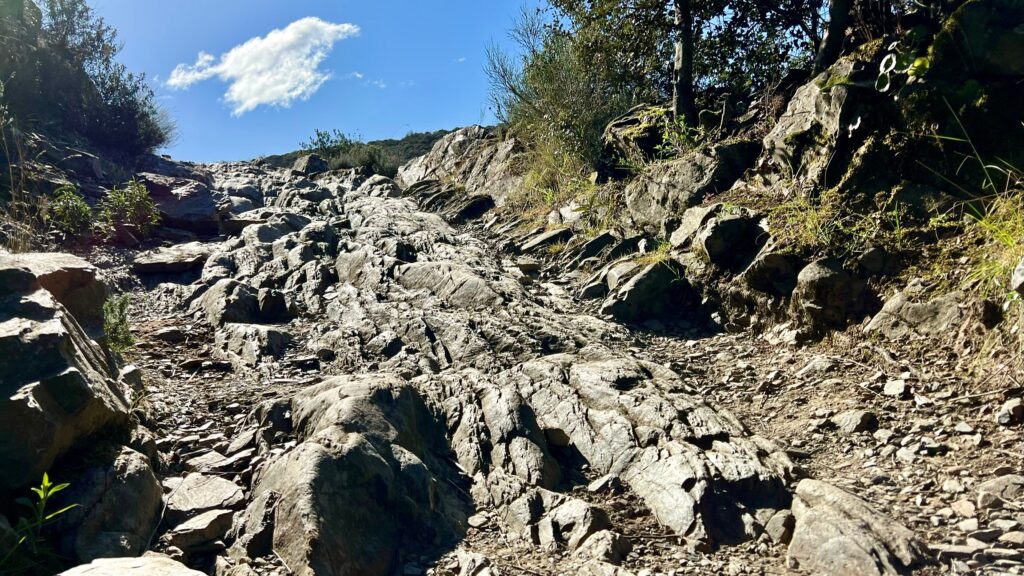 #Tag 30: was nicht tötet härtet ab