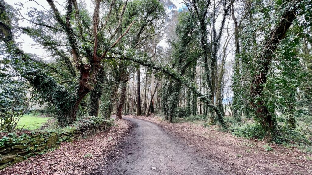 Tag 37: Kilometerstein 33,664