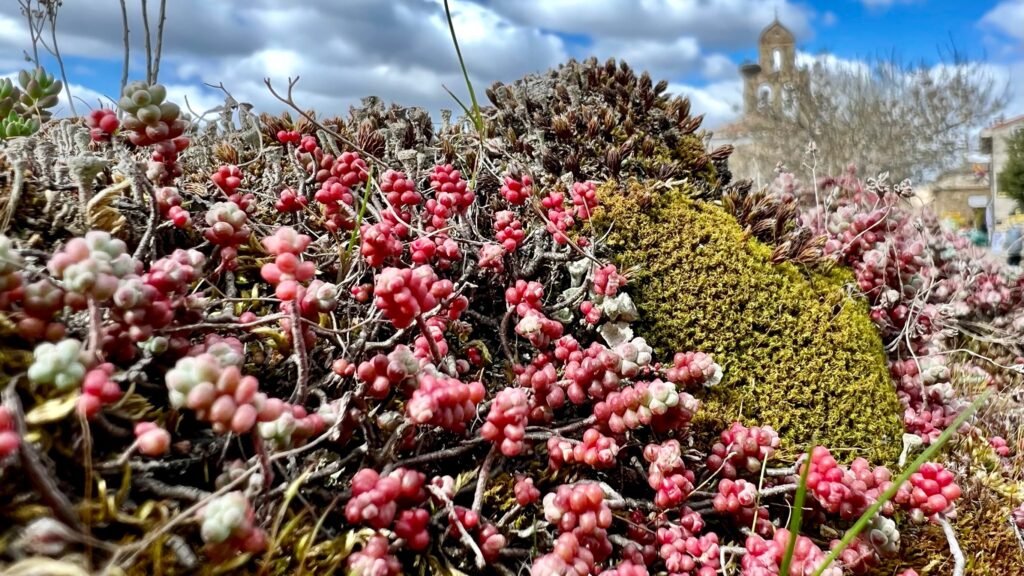 #Tag 27: Entschleunigung