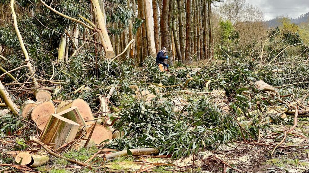 Tag 38: das Ende ist ein Neuanfang