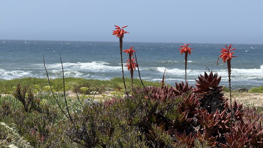 #Tag 3: Gegenwind mit Glückskirschen
