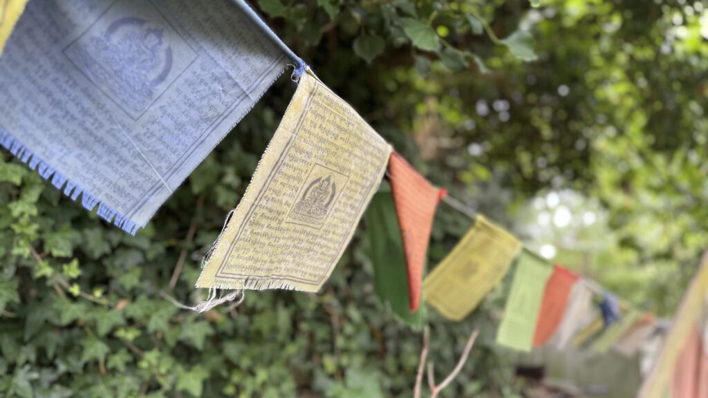 #Tag 11: Gartenstille in Rochefort 10