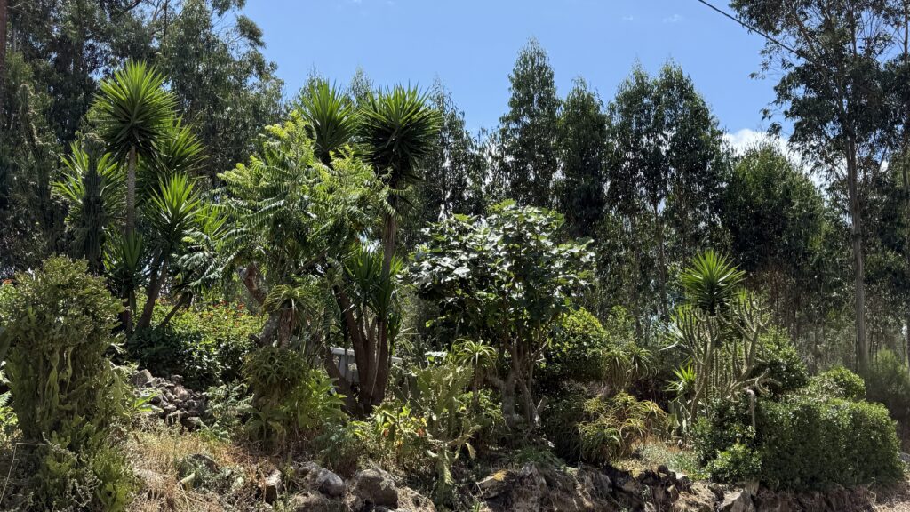 #Tag 22: Flow der Dankbarkeit