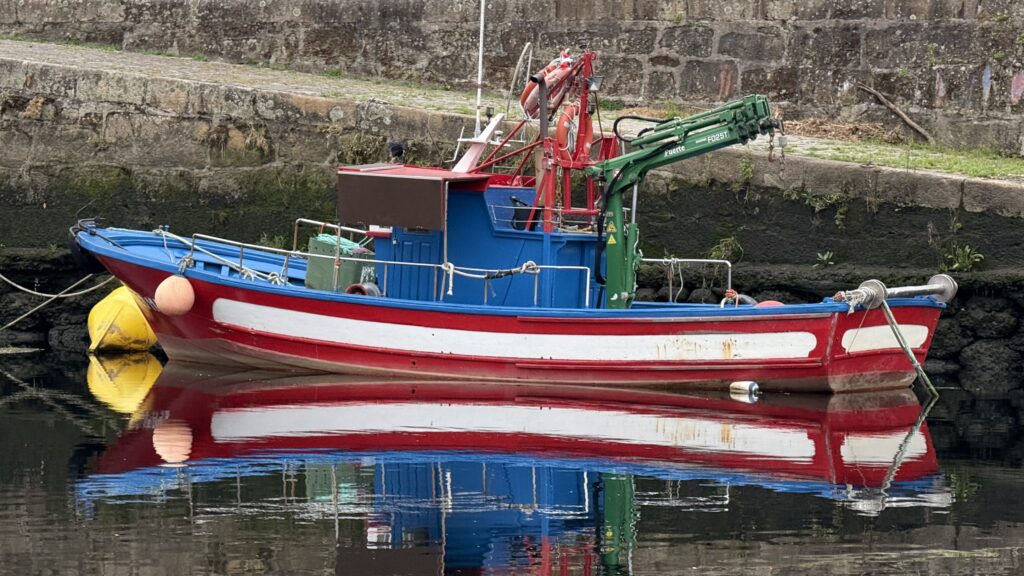 #Tag 23: Traditionelle Balz nur anders