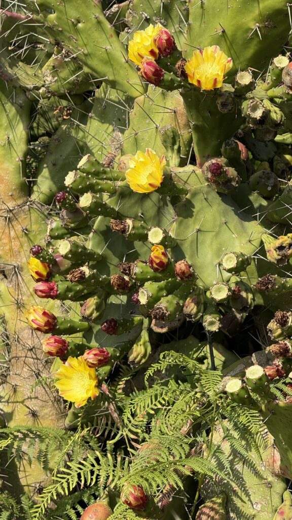 #Tag 1 – Porto. Oder: Wenn der Flughafen näher liegt als gedacht.