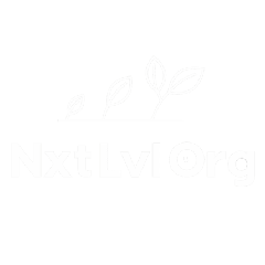 NxtLvlOrg — KI-Beratung und digitale Transformation