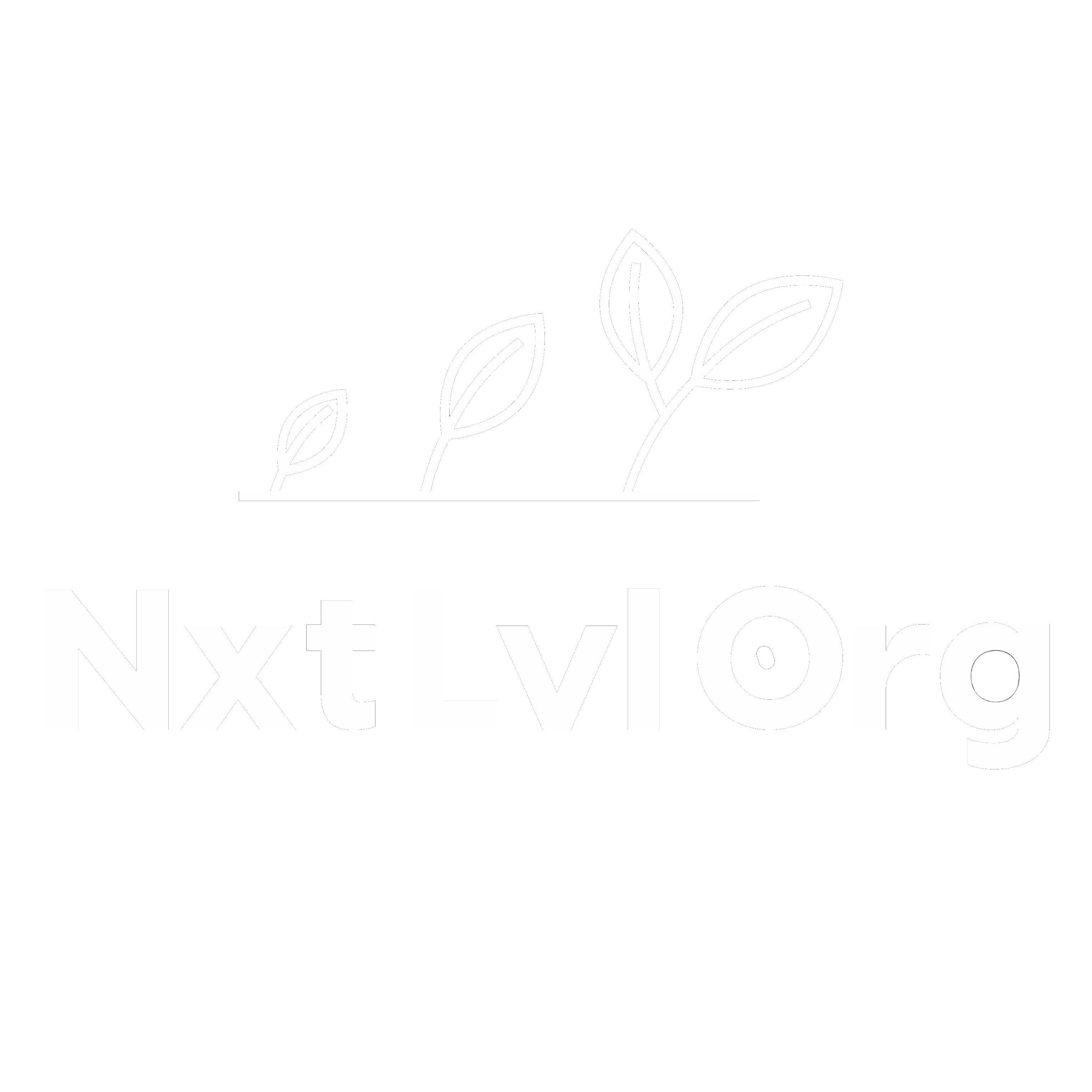 NxtLvlOrg